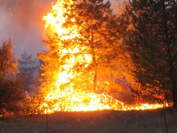 Під час ліквідації пожежі на Луганщині загинув військовий, якого вважали безвісти зниклим  