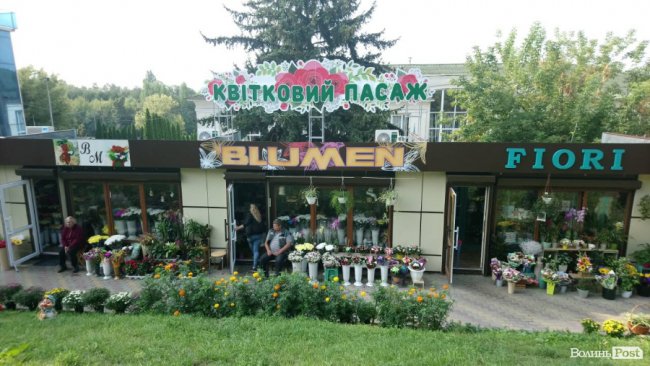 «Квітковий бум» на перший дзвоник: ціни в Луцьку. ФОТО