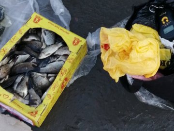 У Любомлі на ринку жінка незаконно продавала рибу