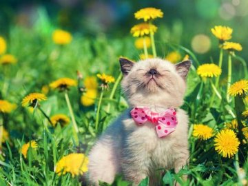 Якою буде погода на Волині у вівторок, 11 травня