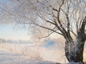 Погода в Луцьку та Волинській області на четвер, 19 січня