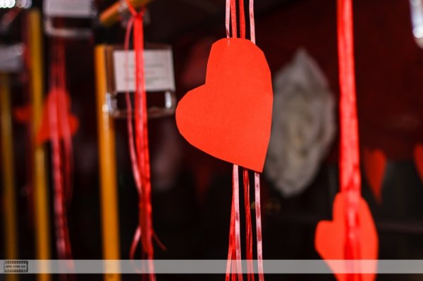 Луцьком їздив «тролейбус кохання». ФОТО