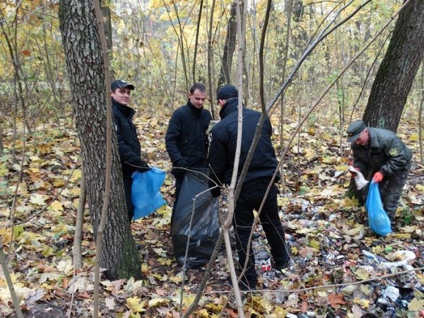 У волинських лісах – санітарний день. ФОТО