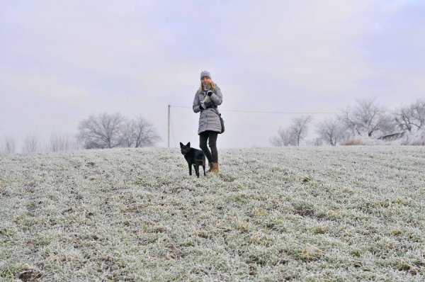Волинь в льодяному тумані. ФОТО
