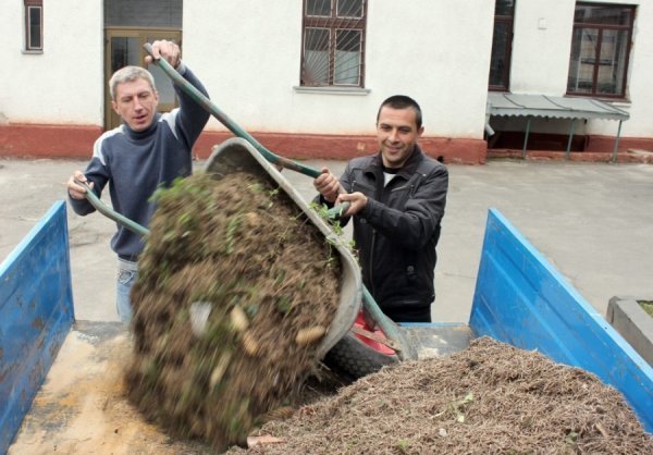 Волинська міліція влаштувала велике прибирання. ФОТО