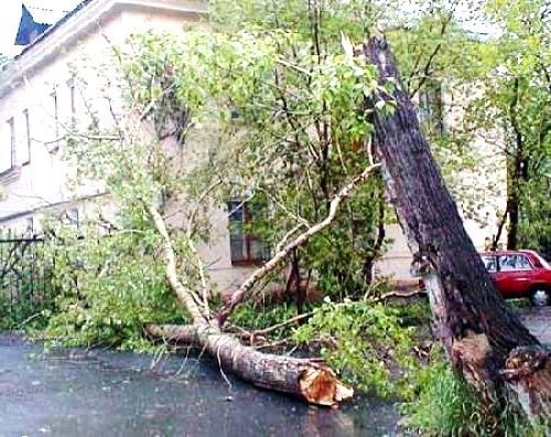 Ураган в Луганську. ФОТО. ВІДЕО
