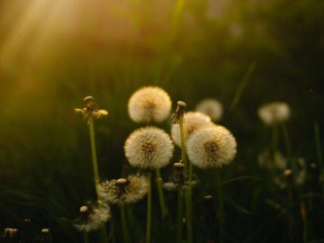 Добрі новини від ВолиньPost за 15 травня