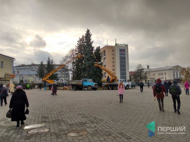 Головна ялинка Луцька цьогоріч буде в золотистих іграшках. ФОТО