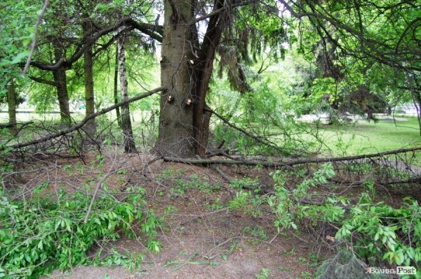 Меморіал в Луцьку оновили до Дня Перемоги
