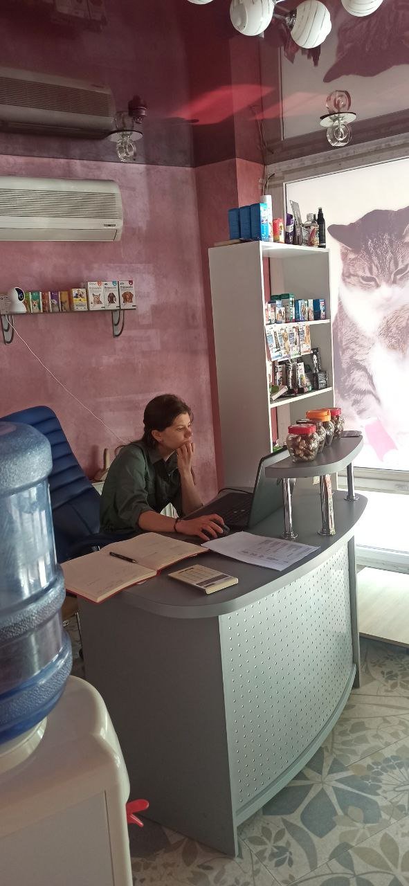 Переселенці з Херсонщини відкрили ветклініку та аптеку у Луцьку: діють знижки до 25% з нагоди старту