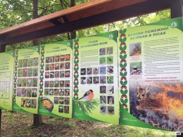 Рекреаційні пункти Волині - природа, затишок та економний відпочинок. ФОТО