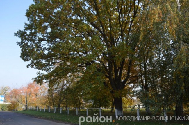 Золота осінь у волинському селі. ФОТО