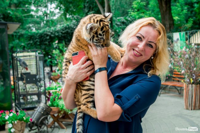 Смугасті будні: як у луцькому зоопарку живе тигреня Тріша. ФОТО