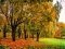 «Золота осінь» у луцькому парку. ФОТО