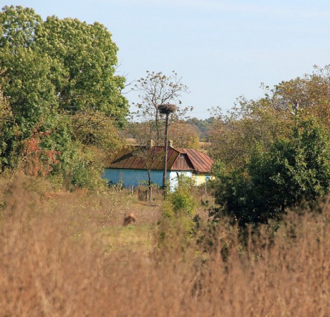Луцький фотограф поділився атмосферними осінніми світлинами. ФОТО 