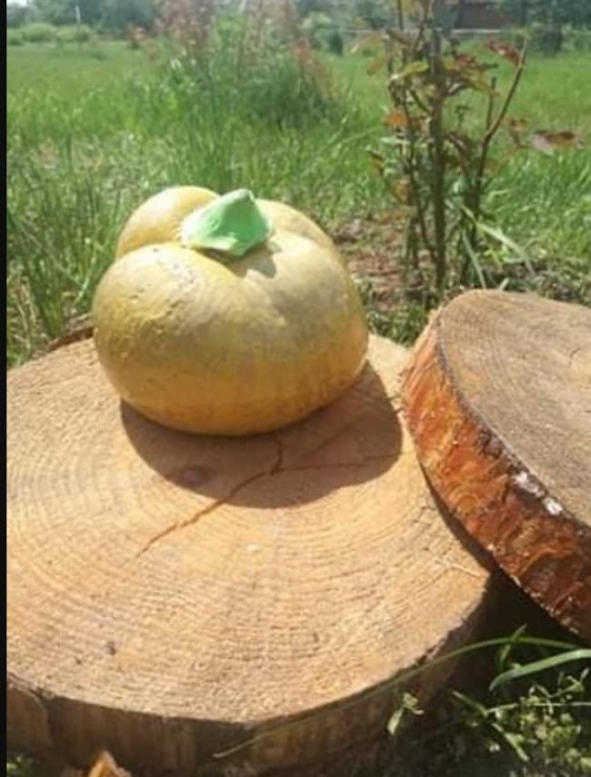 На Волині активісти оригінально прикрасили центр села. ФОТО