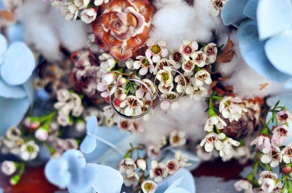 Фотовиставка Ірини Ільчук