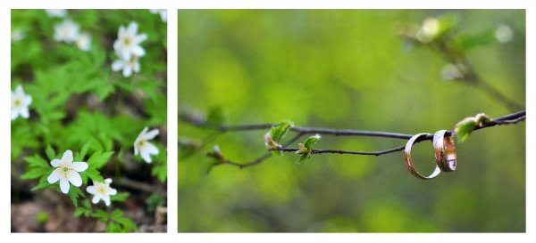 Фотовиставка Ірини Ільчук