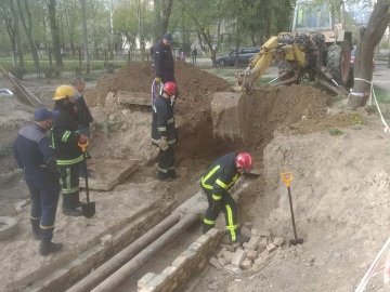 Луцькі рятувальники визволили з-під землі 7 цуценят. ВІДЕО