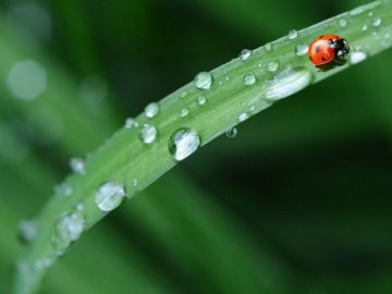 Погода в Луцьку та Волинській області на вівторок, 28 липня