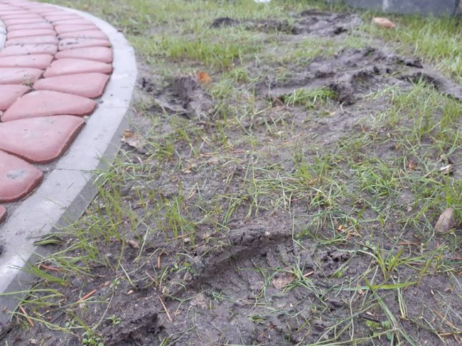 У Рожищі діти-хулігани понівечили газон. ФОТО