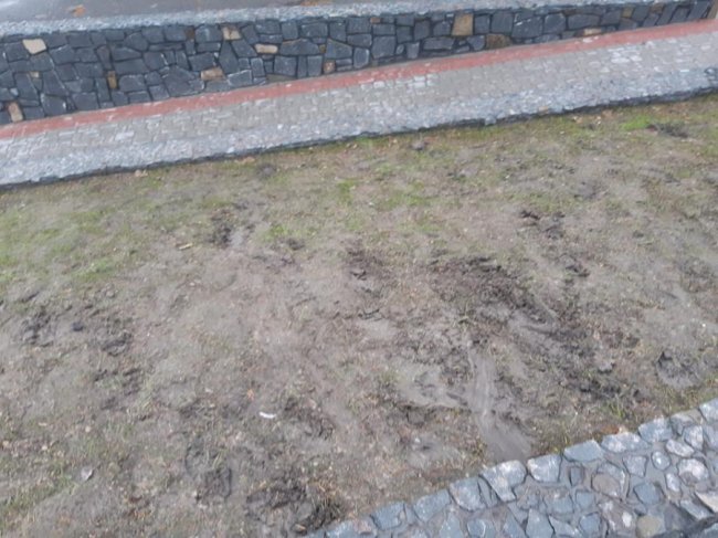 У Рожищі діти-хулігани понівечили газон. ФОТО