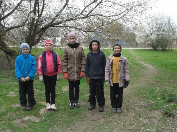 Екологічна толока під Луцьком. ФОТО