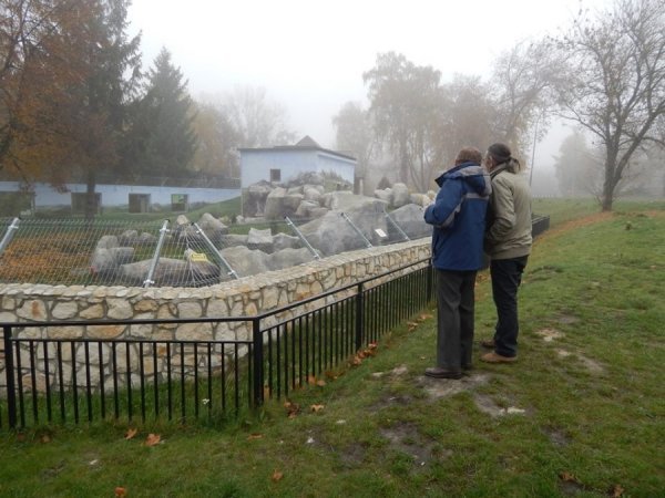 Зоопарк в Замості: погляд з Луцька. ФОТО