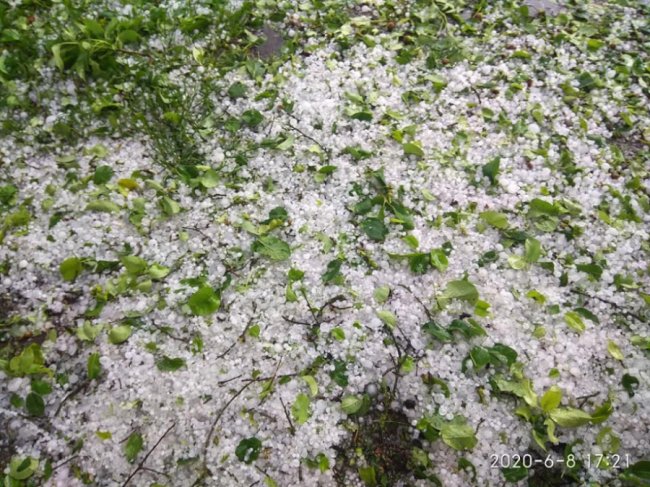 У районі на Волині випав сильний град, побив усю городину. ФОТО