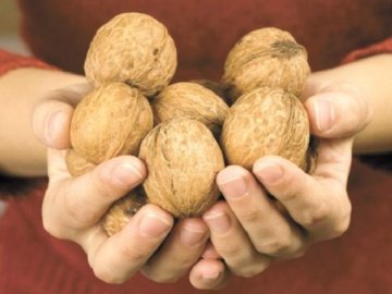 Двоє закарпатців з дач на Волині вкрали горіхи