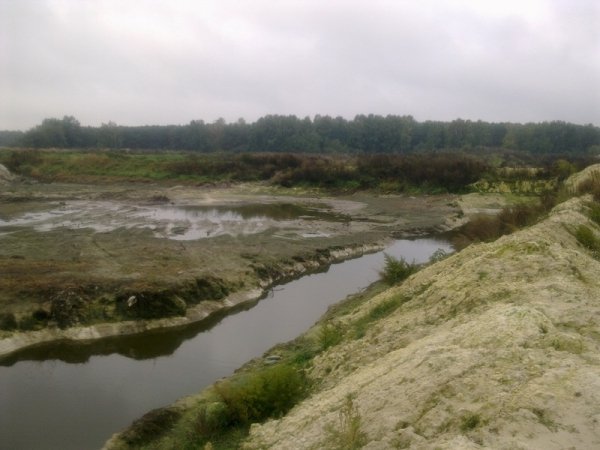 НП на Волині: нечистоти з відстійника затопили територію. ФОТО