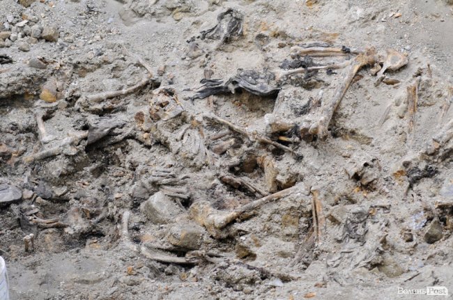 У Луцьку розкопали масове захоронення розстріляних в'язнів