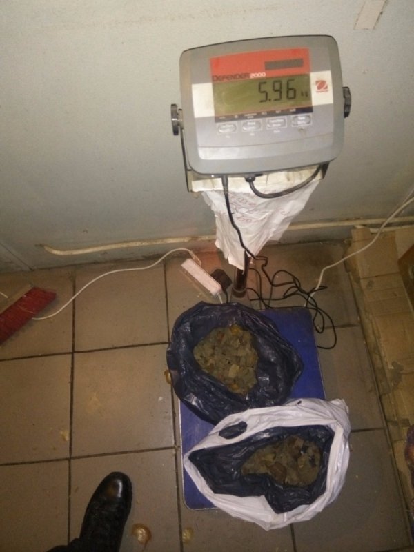 На «Ягодині»  виявили 6 кілограмів бурштину