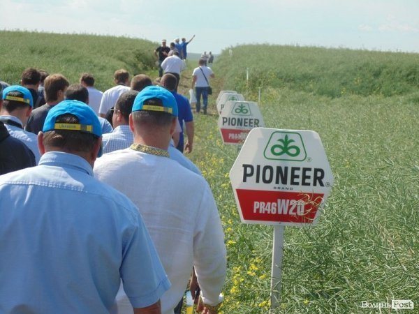 День поля на «Волинь-зерно-продукті». ФОТО*