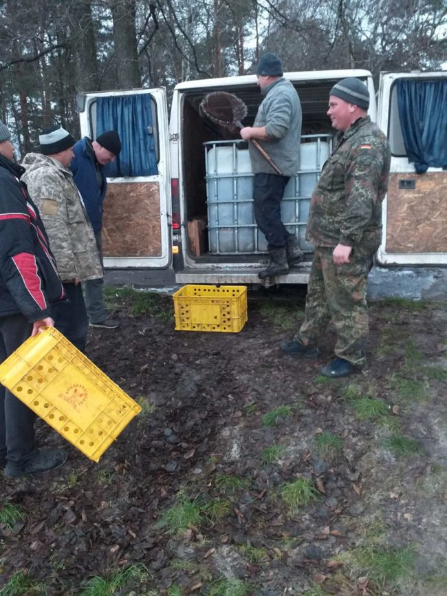 В озеро у Шацькому районі випустили майже тонну риби. ФОТО