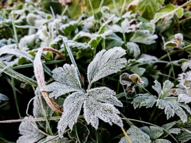Осінній ранок у Луцьку. ФОТО