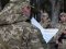 «Мої діти воюють, і я маю бути поруч», - волинський прикордонник