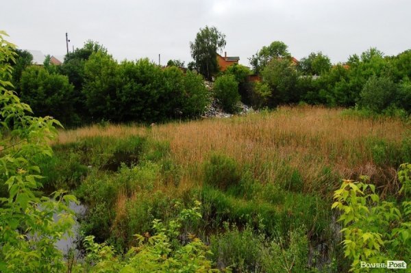 У Луцьку величезне сміттєзвалище «не помічають» більше 10 років