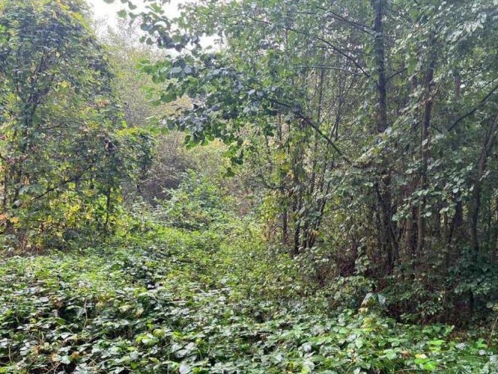 Під туристичну інфраструктуру: у Світязі віддають в оренду комунальну ділянку на 20 років