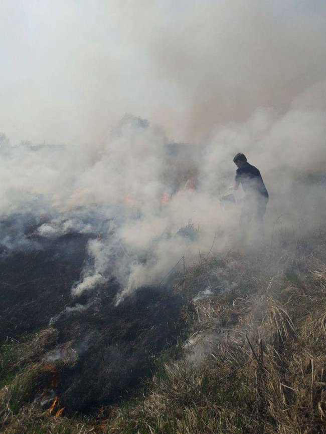 На березі Стиру горіла суха трава. ФОТО