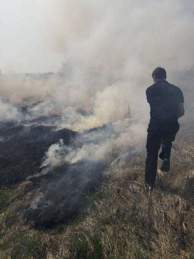На березі Стиру горіла суха трава. ФОТО