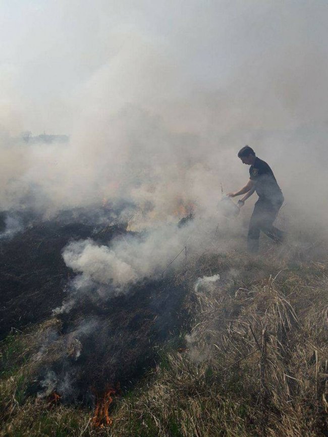 На березі Стиру горіла суха трава. ФОТО