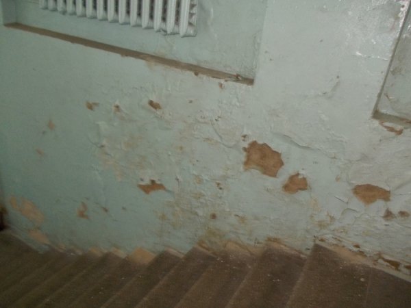 Грибок, корозія і дірявий дах: яким продали кінотеатр «Промінь». ФОТО