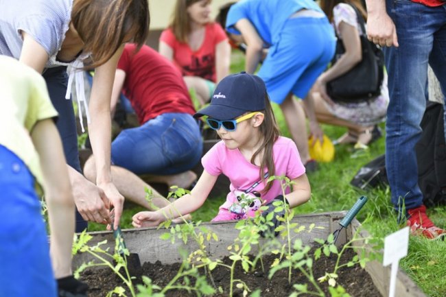 Як у луцькому зоопарку особливі дітки город садили. ФОТО