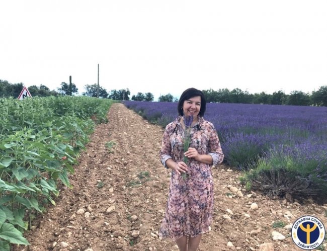 Волинянка поділилась секретами з вирощування лаванди