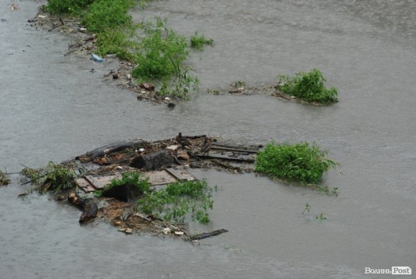 Качки чекають завершення зливи