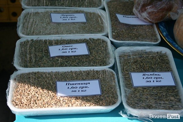 На Театральному майдані виставка-ярмарок ПТУ