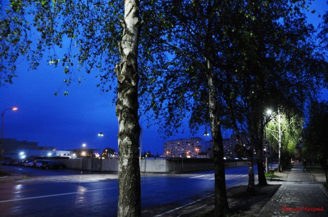 Дощ і світло ліхтарів: магічний вечірній Луцьк на світлинах волинського фотографа