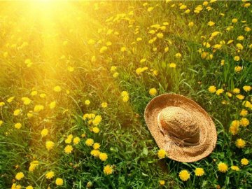 Погода у Луцьку та Волинській області на четвер, 15 липня