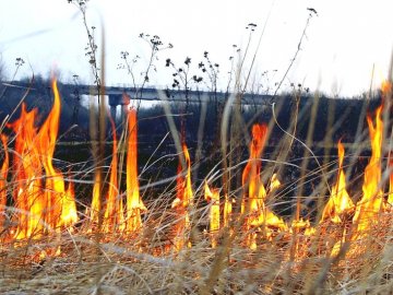 Волиняни продовжують палити листя: рятувальники гасили 4 пожежі